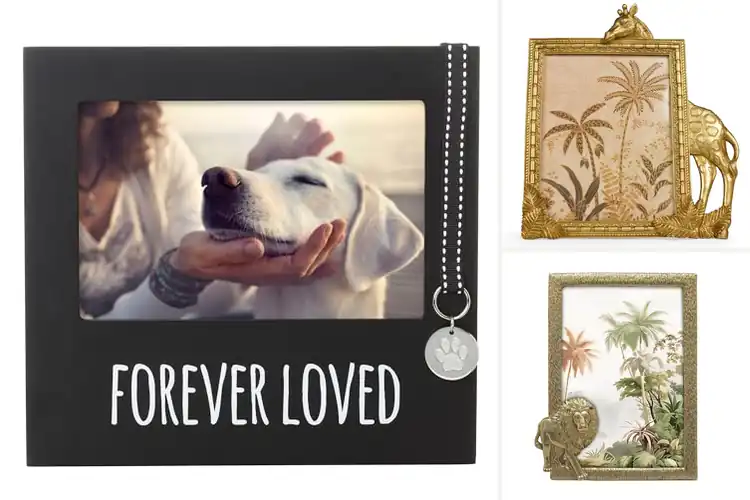 Detailed view of Best Animal Photo Frames