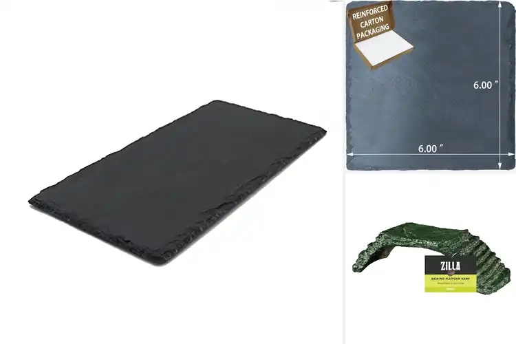 Detailed view of Best Basking Platforms