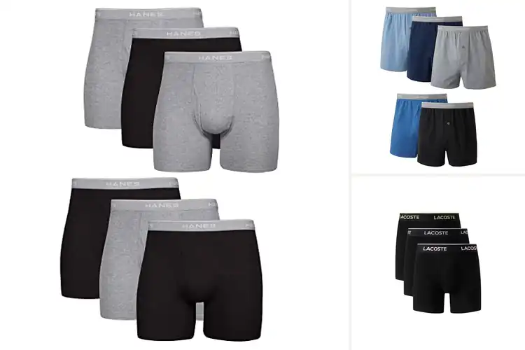 Detailed view of Best Boxers: Top 10 Picks for Unbeatable Comfort & Support