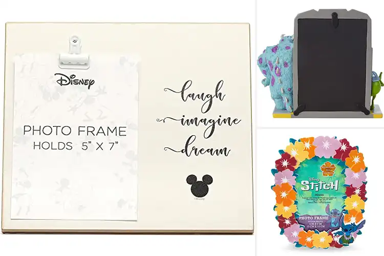 Detailed view of Best Disney Themed Frames