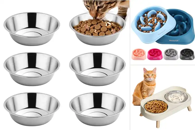 Detailed view of Best Feeding Bowls: Top Picks for Pet Comfort & Mealtime Joy