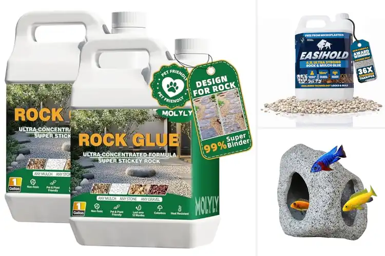 Detailed view of Best Non-Toxic Rocks