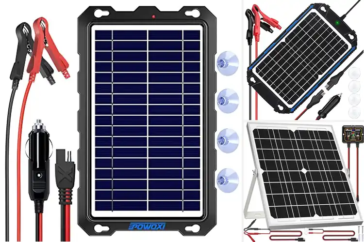 Detailed view of Best Solar Trickle Chargers