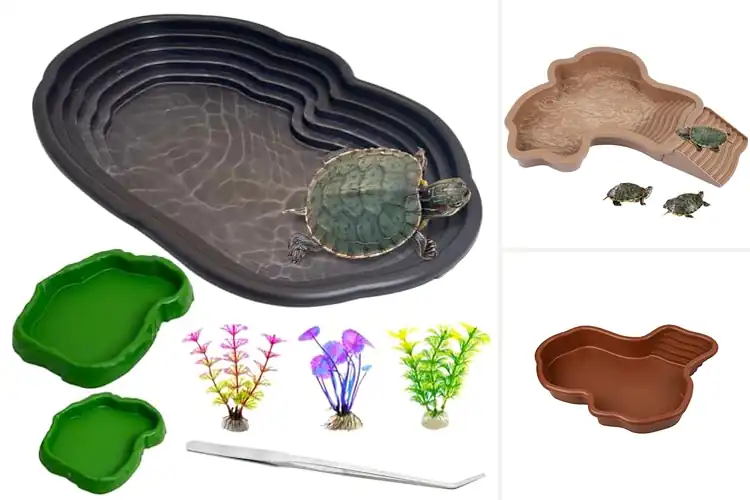 Detailed view of Best Turtle Baths